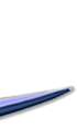 Savannah the Supersonic Jet