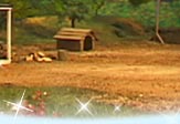 Welcome to the Farm!