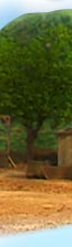Welcome to the Farm!
