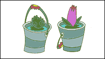 plants