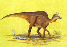 Photo of a dinosaur