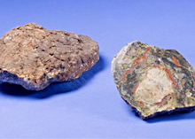 Photo of a fossilized dinosaur poop