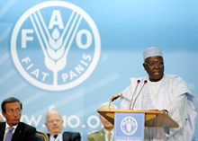 Photo of the FAO meeting