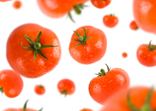 Photo of tomatoes