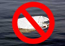 A bald eagles soars through a blue sky