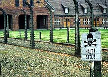 A large amount of catfish looking up with a big red warning label