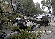 The tornado knocked a tree onto an SUV