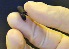 Traditional batteries.