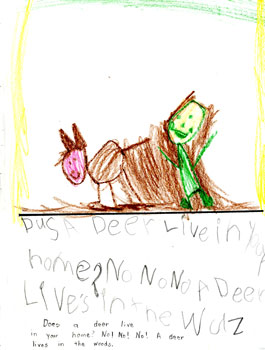 Where Does a Deer Live?