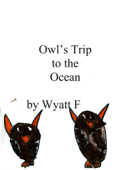 Owl's Trip to the Ocean