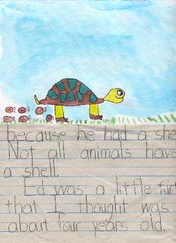 My Turtle