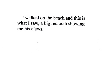 A Walk On The Beach