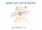 When My Cat Is Alone