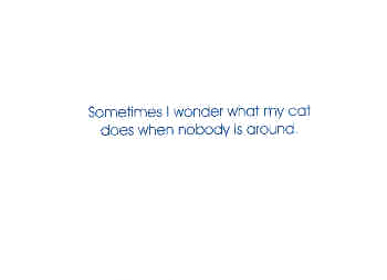 When My Cat Is Alone