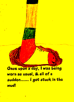 The Adventures of the Missing Shoe