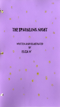 The Sparkling Night