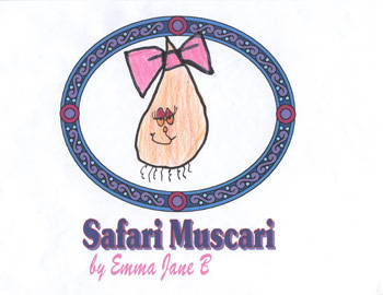 Safari Muscari