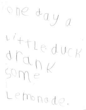 The Chocolate Duck