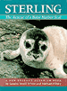 Sterling: The Rescue of a Baby Harbor Seal
