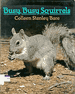 Busy, Busy Squirrels
