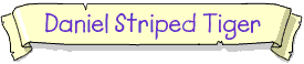 Daniel Striped Tiger