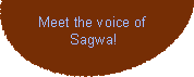 Meet the voice of Sagwa!