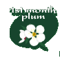 1st month plum
