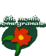 6th month pomegranate
