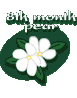 8th month pear