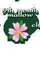 9th month mallow