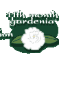 11th month gardenia