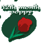 12th month poppy