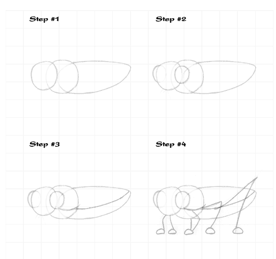 Tung image