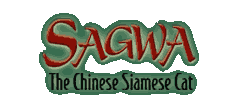Sagwa The Chinese Siamese Cat