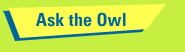 Ask the Owl