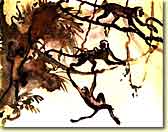 Monkeys