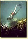 picture: snorkler