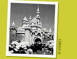 DISNEYLAND Park Picture