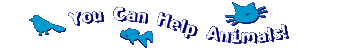 You Can Help Animals!
