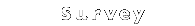 Survey