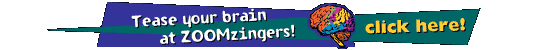 Tease your brain at ZOOMzingers