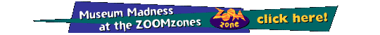 Museum Madness at the ZOOMzones