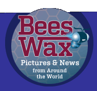 BeesWax