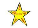 Super Star Name Tag