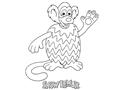 Snow Lemur Coloring Page