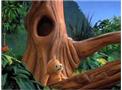 Tag that Sloth