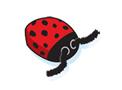 Lucky Ladybug