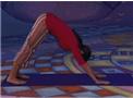 Downward Dog
