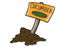 Garden Signs
