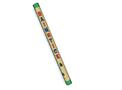 Rain Stick